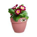 vibia campana easy hanger small poederroze